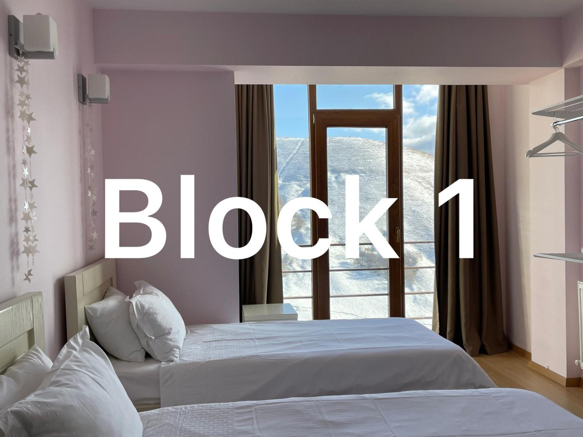 Happy Holidays Apartments In New Gudauri Rum bild
